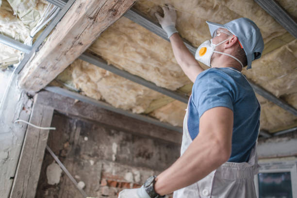 Professional Insulation Contractor in Ina, IL