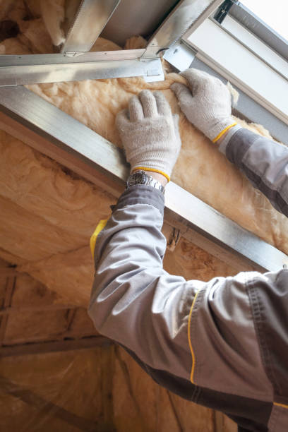 Best Insulation Maintenance and Repair in Ina, IL