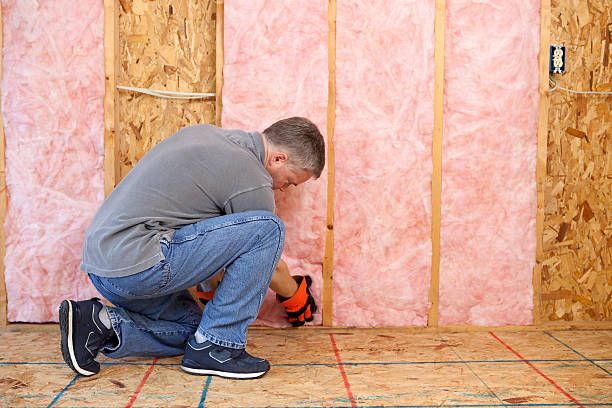 Best Eco-Friendly Insulation in Ina, IL