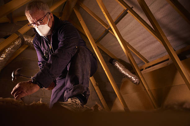 Best Specialized Insulation Services in Ina, IL